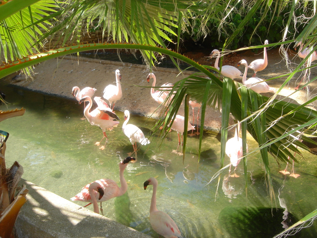 2006/04(Apr)/04(Zoo-Chance-Dax)/1024x768_2006-04-08 15-11-38.JPG